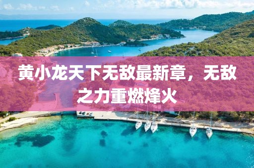 黃小龍?zhí)煜聼o敵最新章，無敵之力重燃烽火