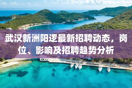 武漢新洲陽(yáng)邏最新招聘動(dòng)態(tài)，崗位、影響及招聘趨勢(shì)分析