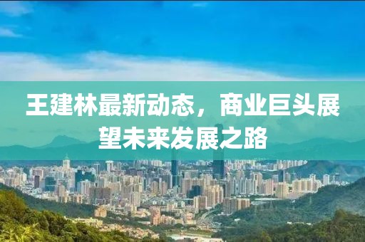 王建林最新動(dòng)態(tài)，商業(yè)巨頭展望未來發(fā)展之路