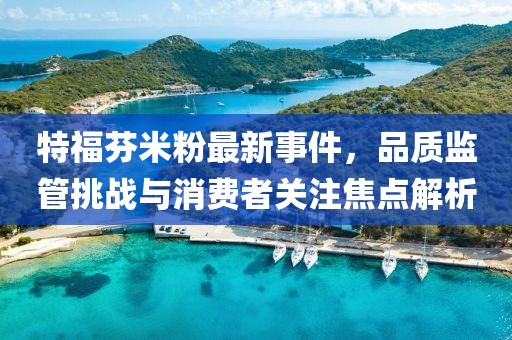 特福芬米粉最新事件，品質(zhì)監(jiān)管挑戰(zhàn)與消費者關(guān)注焦點解析