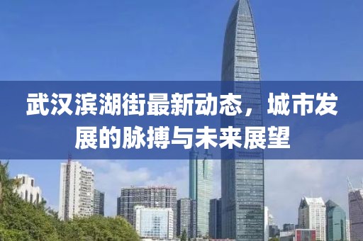 武漢濱湖街最新動(dòng)態(tài)，城市發(fā)展的脈搏與未來(lái)展望