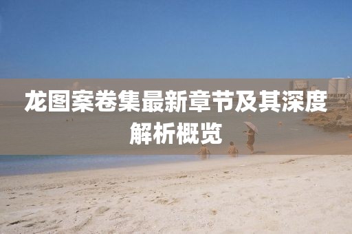 龍圖案卷集最新章節(jié)及其深度解析概覽