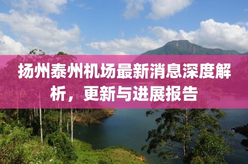揚(yáng)州泰州機(jī)場(chǎng)最新消息深度解析，更新與進(jìn)展報(bào)告