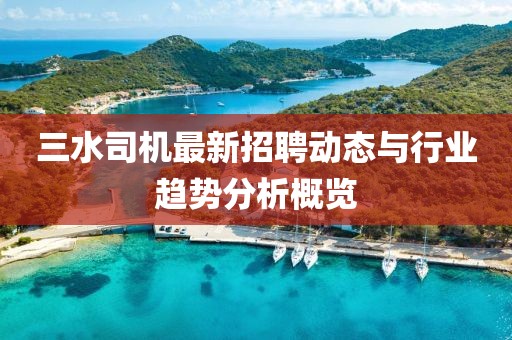 三水司機(jī)最新招聘動態(tài)與行業(yè)趨勢分析概覽
