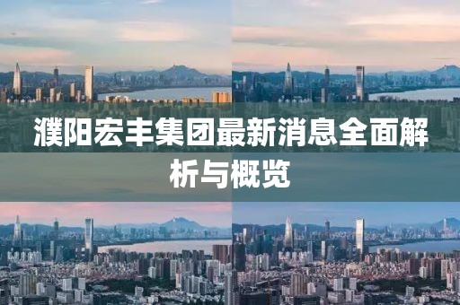 濮陽宏豐集團最新消息全面解析與概覽