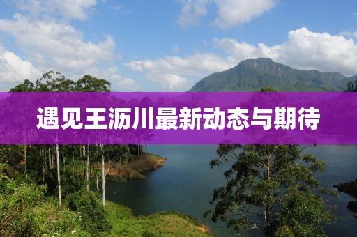 遇見王瀝川最新動(dòng)態(tài)與期待