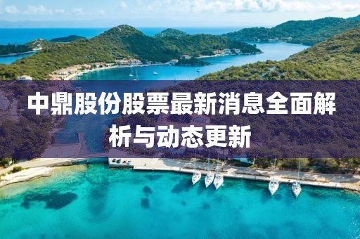 中鼎股份股票最新消息全面解析與動態(tài)更新
