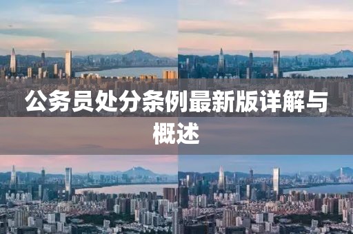 公務(wù)員處分條例最新版詳解與概述