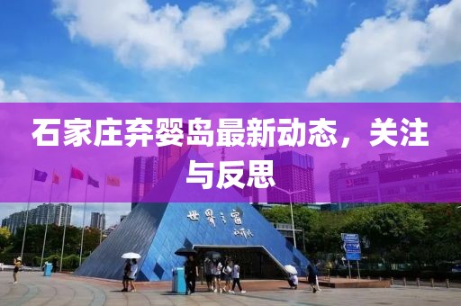 石家莊棄嬰島最新動(dòng)態(tài)，關(guān)注與反思