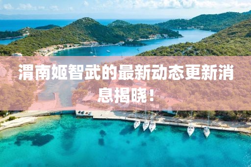 渭南姬智武的最新動態(tài)更新消息揭曉！