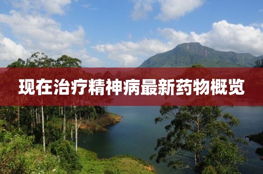 現(xiàn)在治療精神病最新藥物概覽