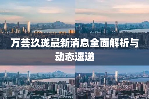 萬薈玖瓏最新消息全面解析與動(dòng)態(tài)速遞