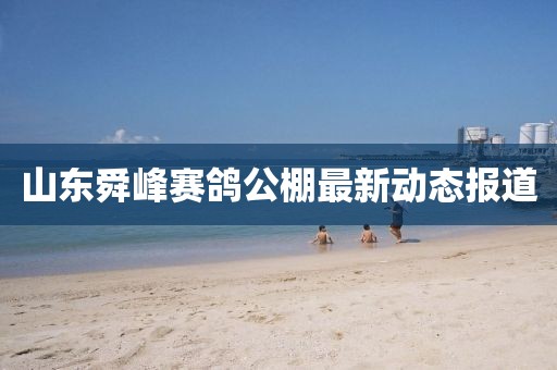山東舜峰賽鴿公棚最新動態(tài)報道