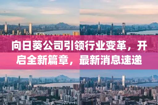 向日葵公司引領(lǐng)行業(yè)變革，開啟全新篇章，最新消息速遞