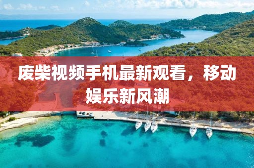 廢柴視頻手機(jī)最新觀看，移動(dòng)娛樂(lè)新風(fēng)潮
