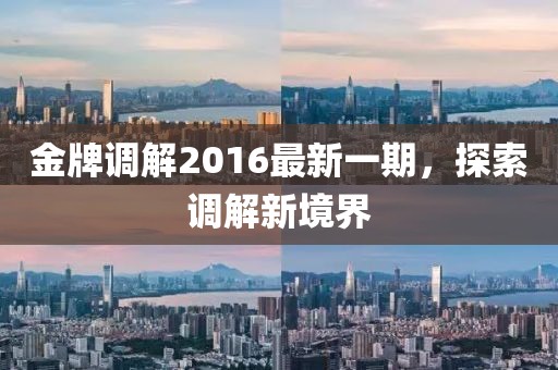 金牌調(diào)解2016最新一期，探索調(diào)解新境界