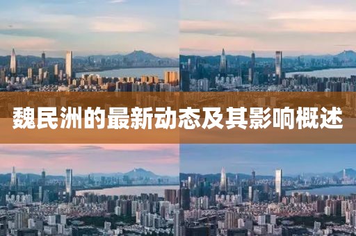 魏民洲的最新動態(tài)及其影響概述
