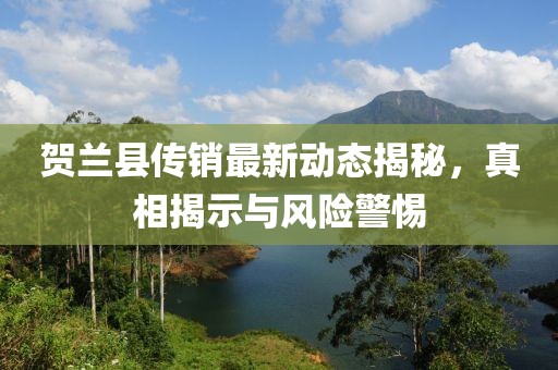 賀蘭縣傳銷最新動態(tài)揭秘，真相揭示與風(fēng)險警惕