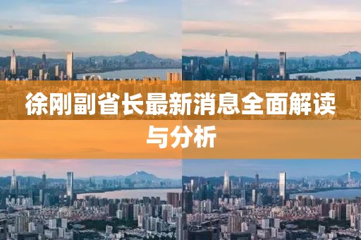 徐剛副省長最新消息全面解讀與分析