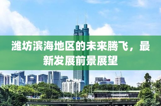 濰坊濱海地區(qū)的未來騰飛，最新發(fā)展前景展望