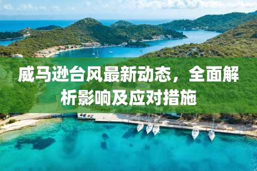 威馬遜臺(tái)風(fēng)最新動(dòng)態(tài)，全面解析影響及應(yīng)對(duì)措施