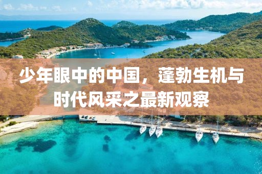 少年眼中的中國，蓬勃生機(jī)與時代風(fēng)采之最新觀察