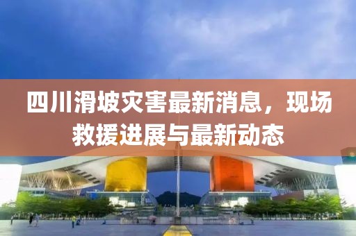 四川滑坡災(zāi)害最新消息，現(xiàn)場救援進(jìn)展與最新動(dòng)態(tài)