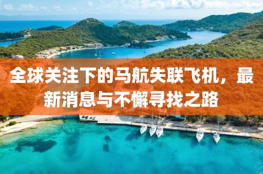 全球關(guān)注下的馬航失聯(lián)飛機，最新消息與不懈尋找之路