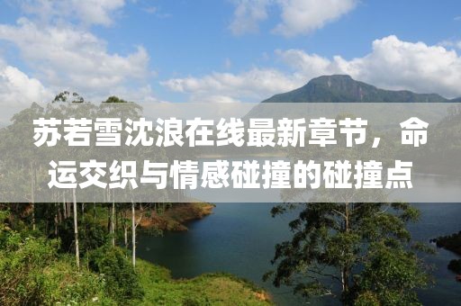 蘇若雪沈浪在線最新章節(jié)，命運交織與情感碰撞的碰撞點