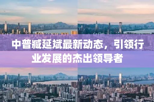 中普臧延斌最新動態(tài)，引領行業(yè)發(fā)展的杰出領導者