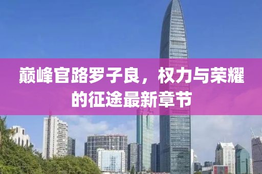 巔峰官路羅子良，權(quán)力與榮耀的征途最新章節(jié)