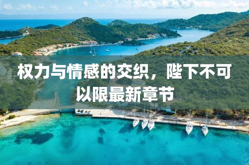 權(quán)力與情感的交織，陛下不可以限最新章節(jié)