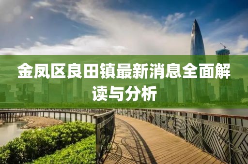 金鳳區(qū)良田鎮(zhèn)最新消息全面解讀與分析