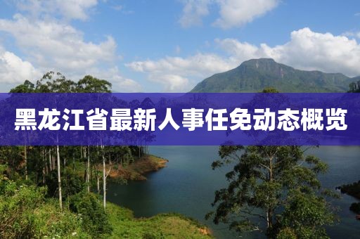 黑龍江省最新人事任免動態(tài)概覽