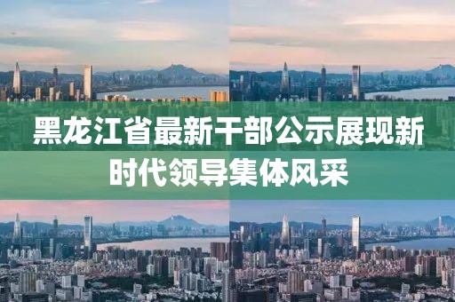 黑龍江省最新干部公示展現(xiàn)新時(shí)代領(lǐng)導(dǎo)集體風(fēng)采