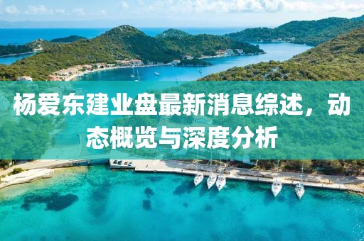 楊愛(ài)東建業(yè)盤最新消息綜述，動(dòng)態(tài)概覽與深度分析