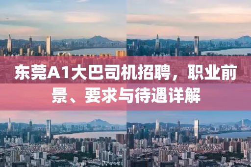 東莞A1大巴司機招聘，職業(yè)前景、要求與待遇詳解