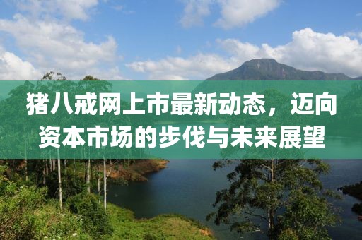 豬八戒網(wǎng)上市最新動態(tài)，邁向資本市場的步伐與未來展望