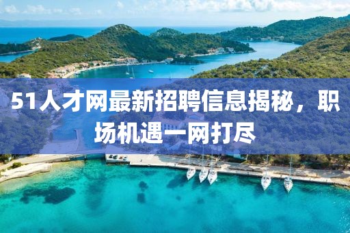 51人才網(wǎng)最新招聘信息揭秘，職場機(jī)遇一網(wǎng)打盡