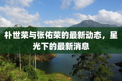 樸世榮與張佑榮的最新動(dòng)態(tài)，星光下的最新消息