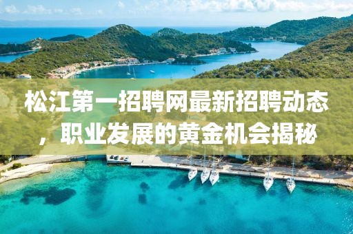 松江第一招聘網(wǎng)最新招聘動(dòng)態(tài)，職業(yè)發(fā)展的黃金機(jī)會(huì)揭秘