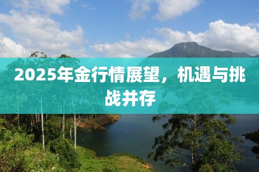 2025年金行情展望，機(jī)遇與挑戰(zhàn)并存