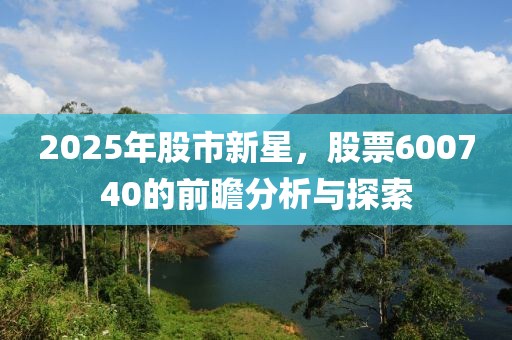 2025年股市新星，股票600740的前瞻分析與探索
