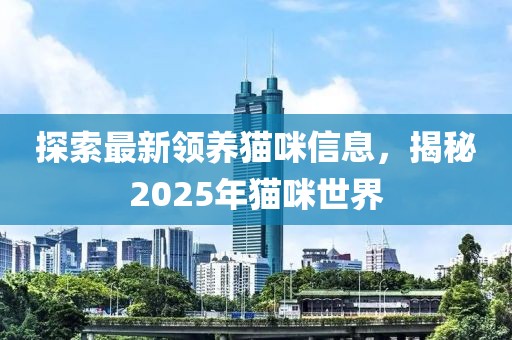探索最新領(lǐng)養(yǎng)貓咪信息，揭秘2025年貓咪世界