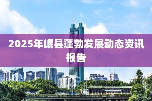 2025年岷縣蓬勃發(fā)展動(dòng)態(tài)資訊報(bào)告