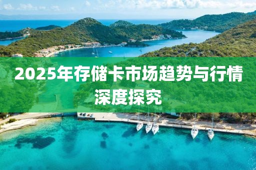 2025年存儲(chǔ)卡市場趨勢與行情深度探究