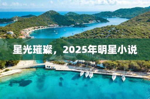 星光璀璨，2025年明星小說
