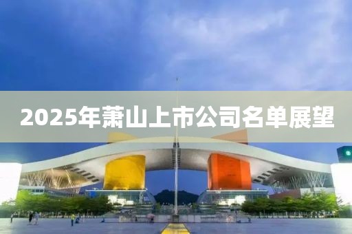 2025年蕭山上市公司名單展望