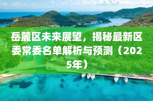 岳麓區(qū)未來展望，揭秘最新區(qū)委常委名單解析與預(yù)測（2025年）