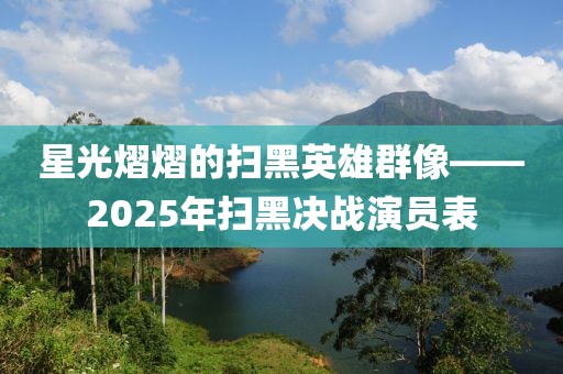 星光熠熠的掃黑英雄群像——2025年掃黑決戰(zhàn)演員表